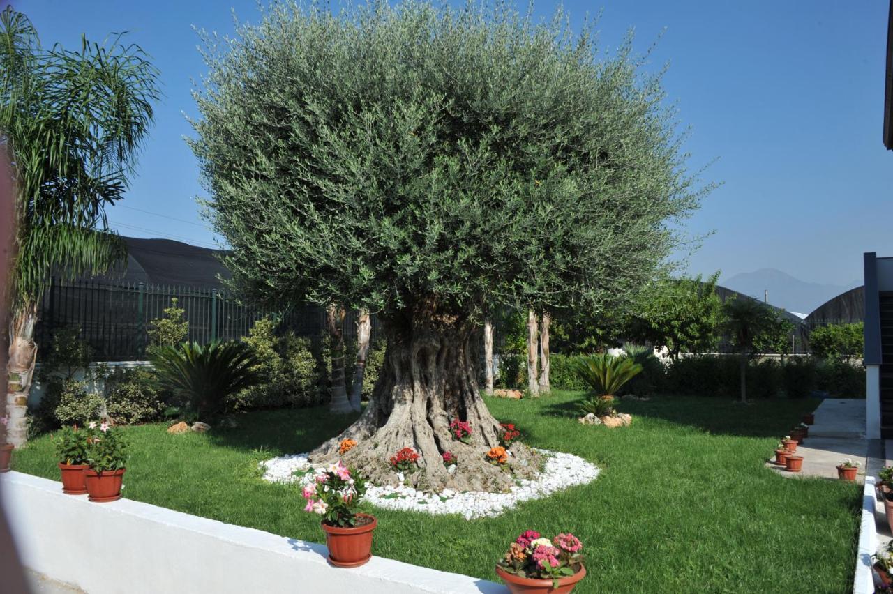 B&B Cascina Fiorita Santa Maria La Carità Zewnętrze zdjęcie